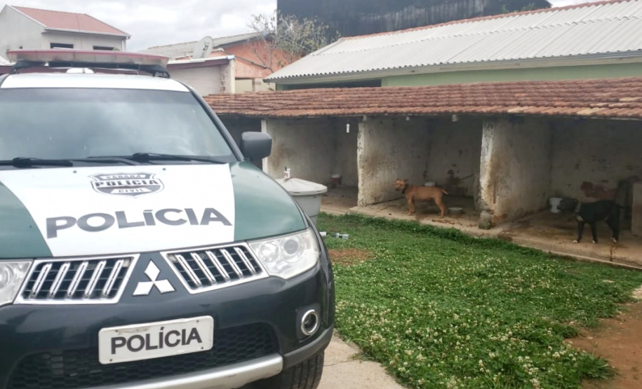 Polícia Civil resgata mais cães na casa do treinador preso em rinha