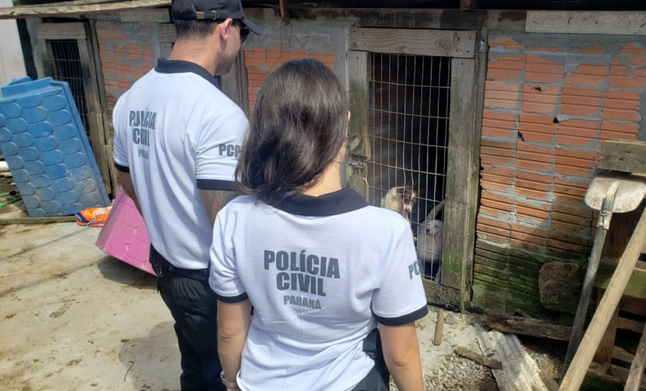 PCPR fiscaliza maus tratos a animais em Guaratuba