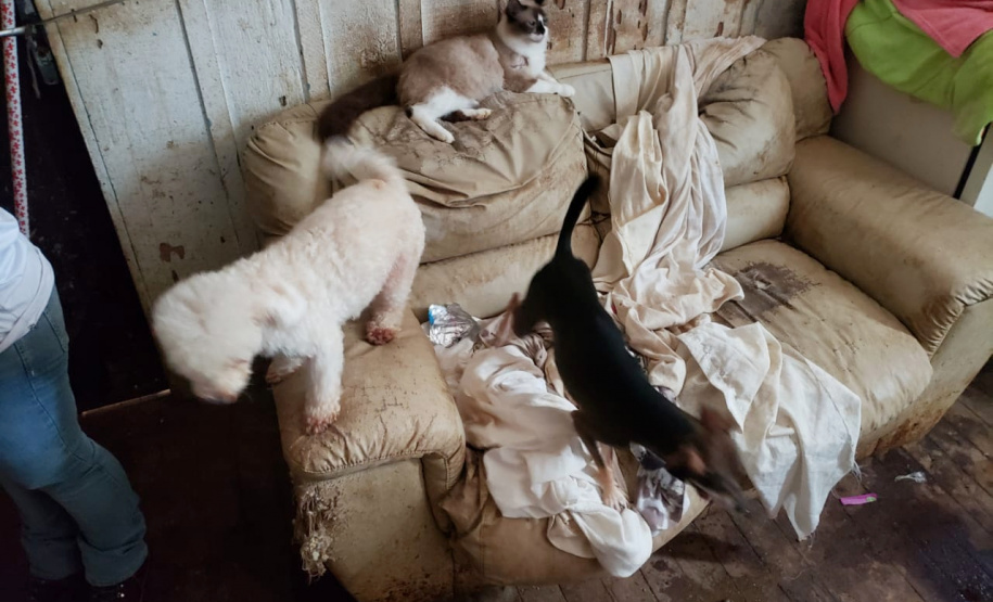 PCPR fiscaliza maus tratos a animais em Guaratuba