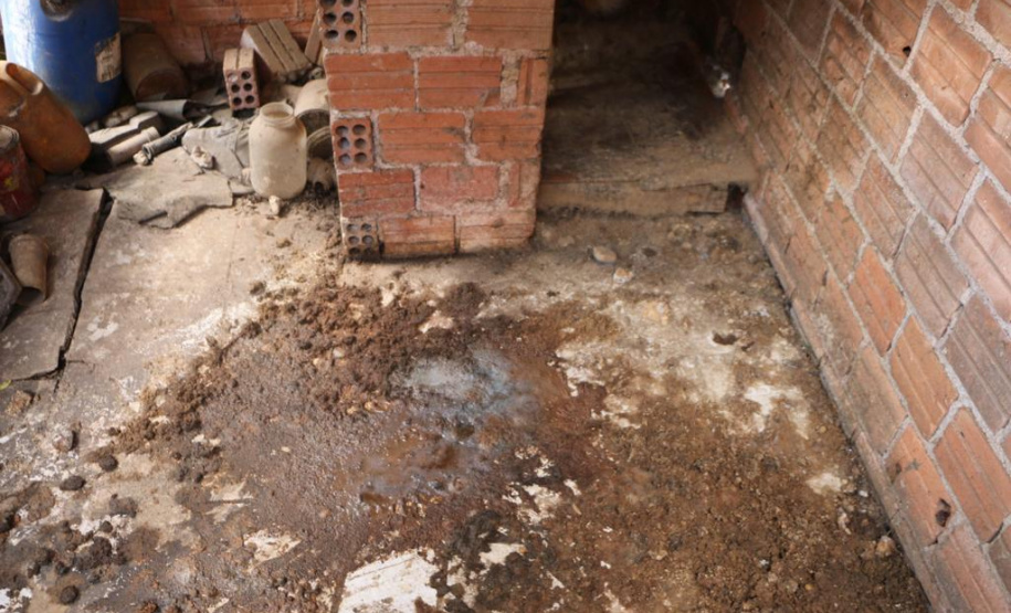 PCPR resgata cães e autua homem por maus-tratos em Curitiba