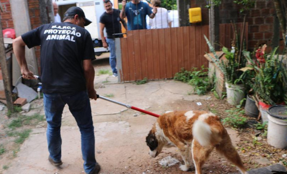 PCPR resgata cães e autua homem por maus-tratos em Curitiba