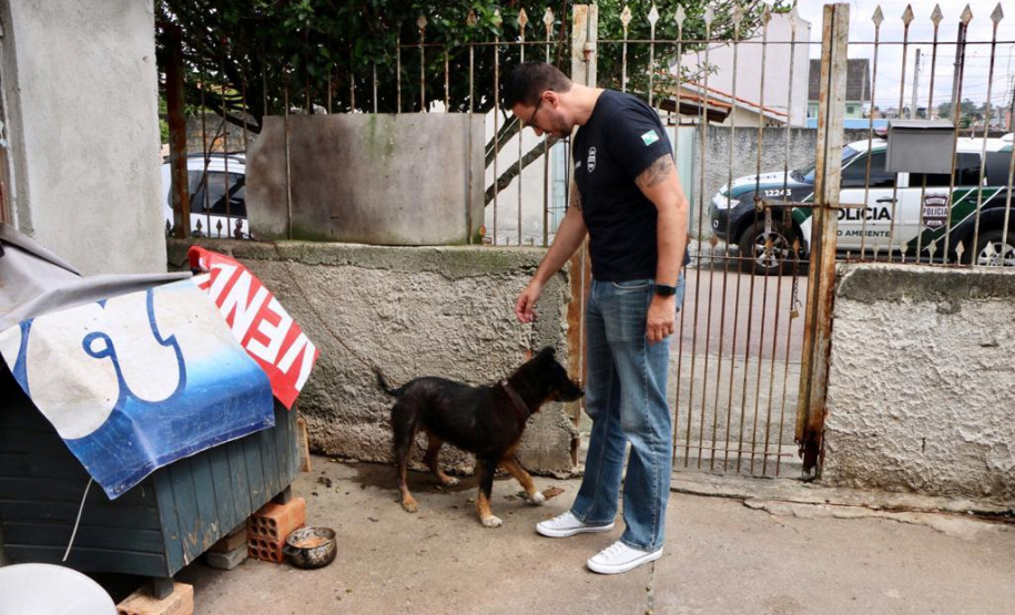 PCPR resgata cães e autua homem por maus-tratos em Curitiba