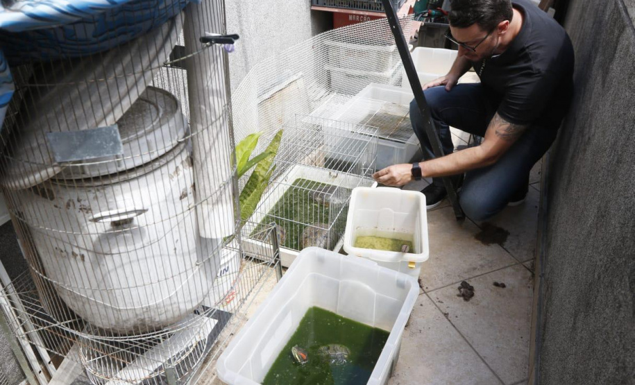 PCPR resgata cerca de 70 animais silvestres em clínica de Curitiba