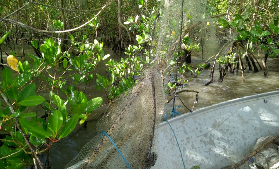 Polícia Ambiental apreende 10 tarrafas usadas para pescar camarão em Guaraqueçaba (PR)