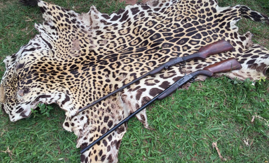 Polícia Ambiental apreende couro de uma Onça-Pintada e aplica multa de R$ 5 mil em Umuarama (PR)