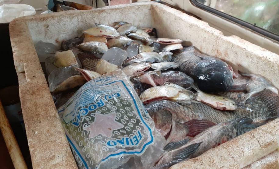 BPAmb-FV prende três pessoas e apreende mais de 60 quilos de peixe e 350 metros de rede no Norte do estado