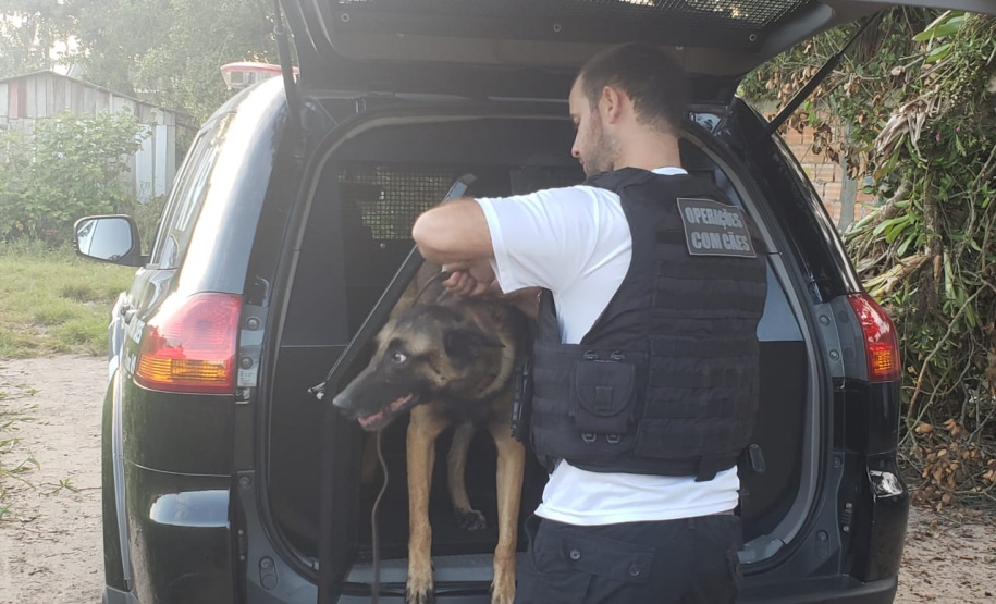 PCPR deflagra ação em combate ao tráfico de drogas em Pontal do Paraná