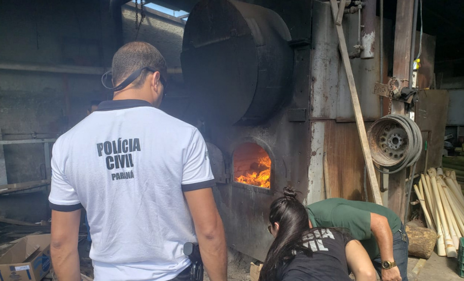 Polícia Civil incinera 265 quilos de drogas apreendidas no Litoral