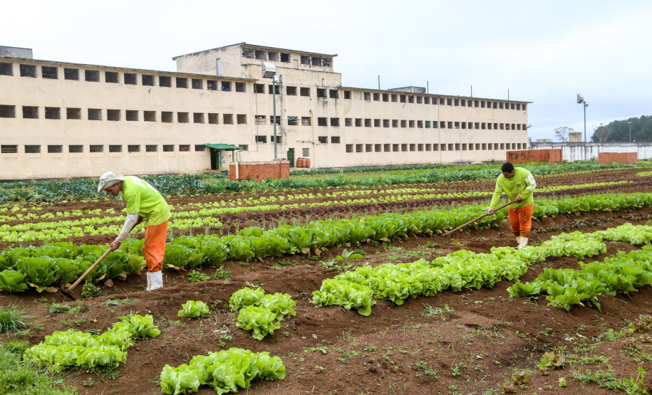Governo vai investir R$ 14 milhões em reforma de prisões
