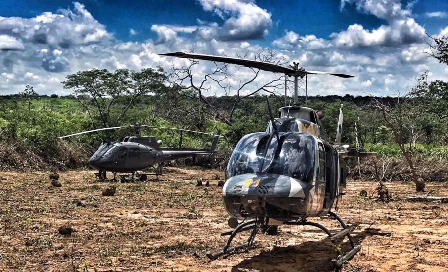 Helicóptero da PM do Paraná localiza plantação que renderia três toneladas de maconha no sertão nordestino