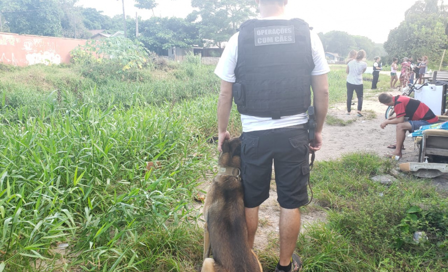 PCPR deflagra ação em combate ao tráfico de drogas em Pontal do Paraná
