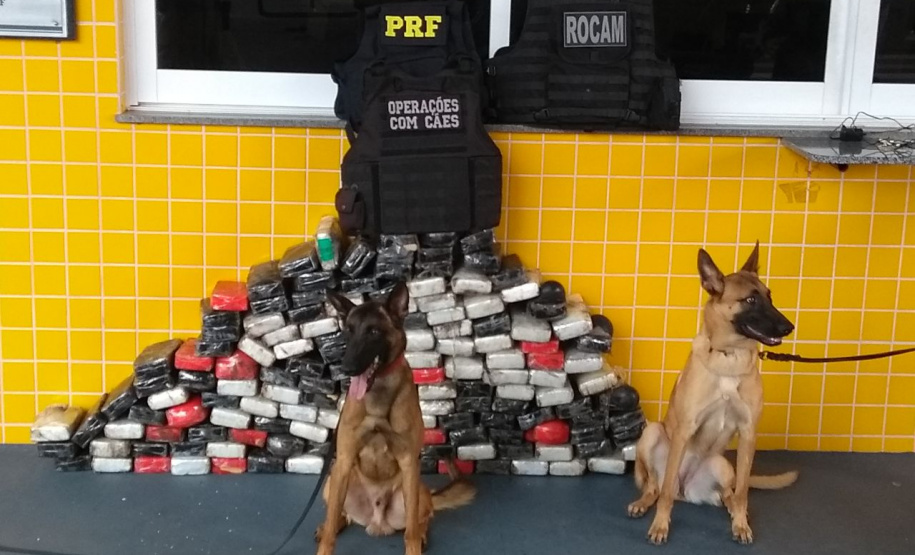 Em apoio à PRF, Canil da PM encontra mais de 158 quilos de cocaína em caminhão bitrem no Noroeste do estado