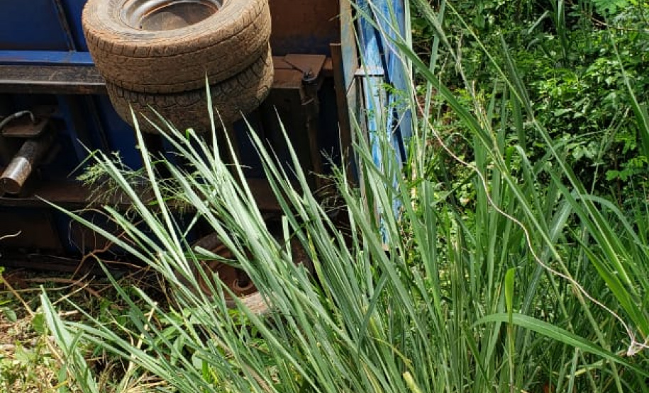 BPAmb-FV encontra toras de árvores nativas e aplica multa no Oeste do estado