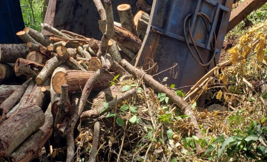 BPAmb-FV encontra toras de árvores nativas e aplica multa no Oeste do estado