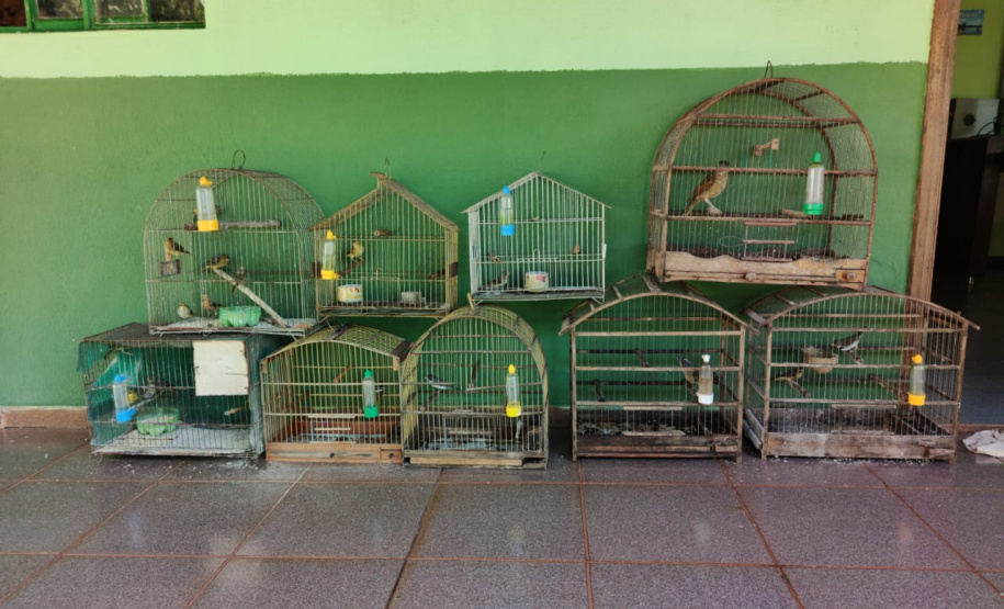 Mais de R$ 260 mil em multas ambientais são aplicados durante Operação Saturno, no Norte do Paraná