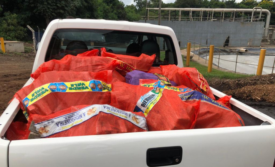 PCPR incinera 751 quilos de drogas em Maringá