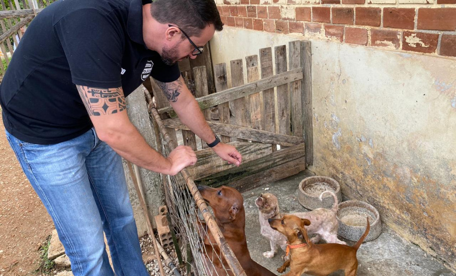 PCPR resgata mais de 50 cães de raça em condições de maus-tratos