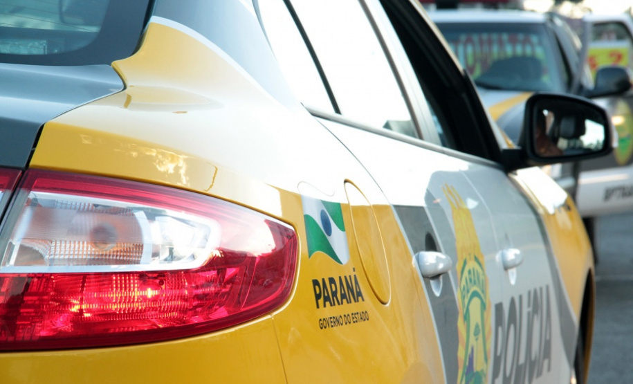 PM encontra rinha de galo após denúncia e apreende 22 aves em Sapopema (PR)