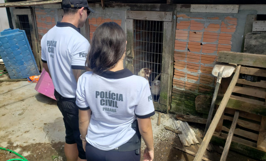 Polícia Civil intensifica trabalhos de investigação e aproximação com a comunidade durante Verão Maior 2019/2020