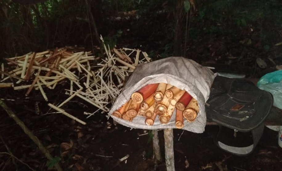 BPAmb-FV termina o Verão Maior com o resgate de 108 animais silvestres, apreensão de 3,2 toneladas de carvão e mais de 13 mil pessoas abordadas