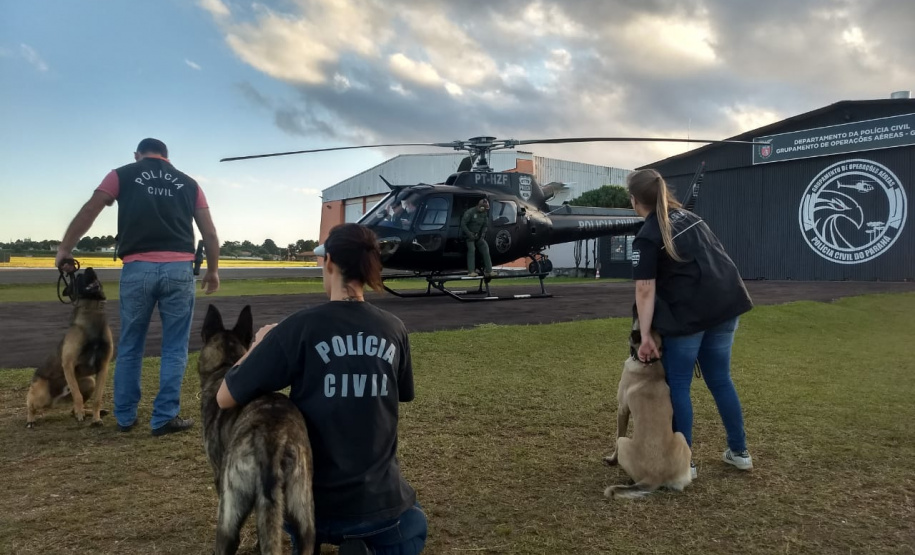PCPR faz treinamento em aeronaves com cães policiais na Capital
