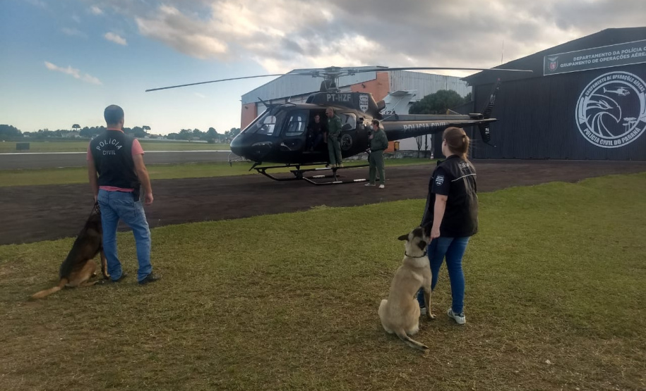 PCPR faz treinamento em aeronaves com cães policiais na Capital