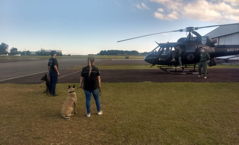 PCPR faz treinamento em aeronaves com cães policiais na Capital