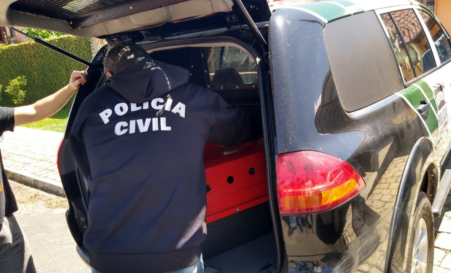 PCPR apreende duas cobras e autua homem na RMC