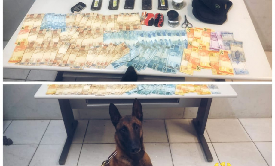 Diversos tabletes de haxixe e mais de R$ 5 mil foram apreendidos pela PM em Curitiba (PR)