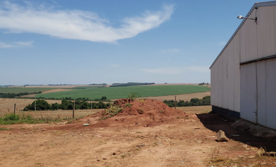 Granja que depositava frangos mortos em área de proteção permanente é autuada em R$ 10 mil pela Polícia Ambiental em Iporã