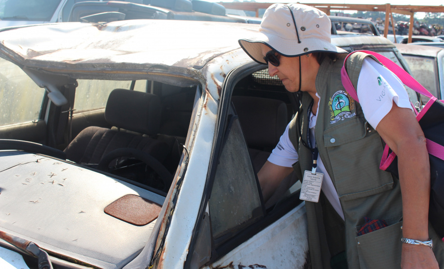 Polícia Civil e Vigilância Sanitária fazem ação contra a dengue no pátio de veículos apreendidos, em São José dos Pinhais