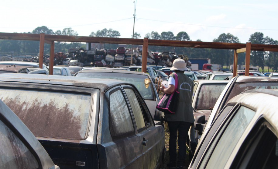 Polícia Civil e Vigilância Sanitária fazem ação contra a dengue no pátio de veículos apreendidos, em São José dos Pinhais