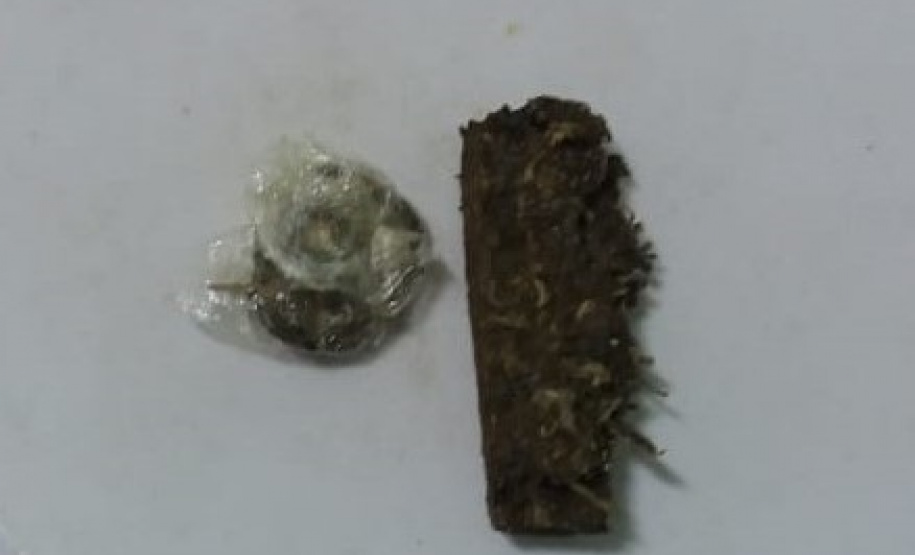 PM prende trio, apreende drogas e mais de R$ 2,4 mil no Sudeste do estado após denúncia