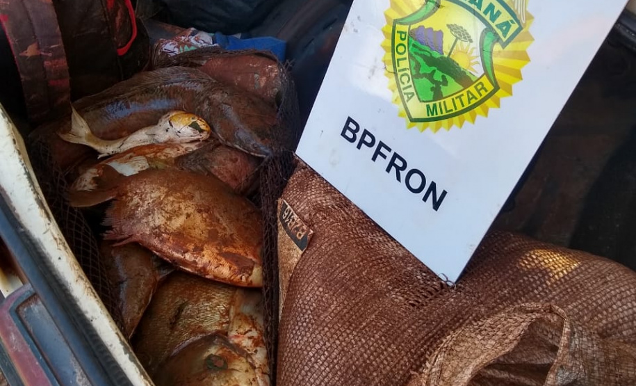 BPFron prende cinco pessoas e apreende quase 100 quilos de peixe roubado no Oeste do estado