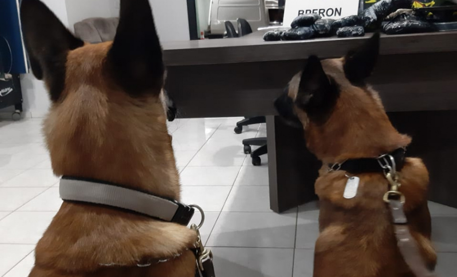 Mais de 280 quilos de maconha e mais de 1,6 quilo de haxixe são apreendidos por policiais militares do BPFron no Oeste do estado