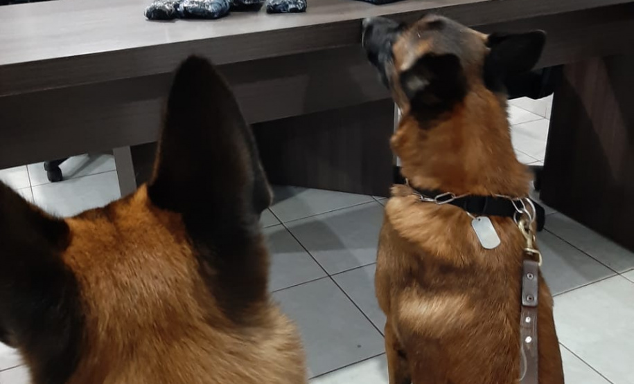 Mais de 280 quilos de maconha e mais de 1,6 quilo de haxixe são apreendidos por policiais militares do BPFron no Oeste do estado