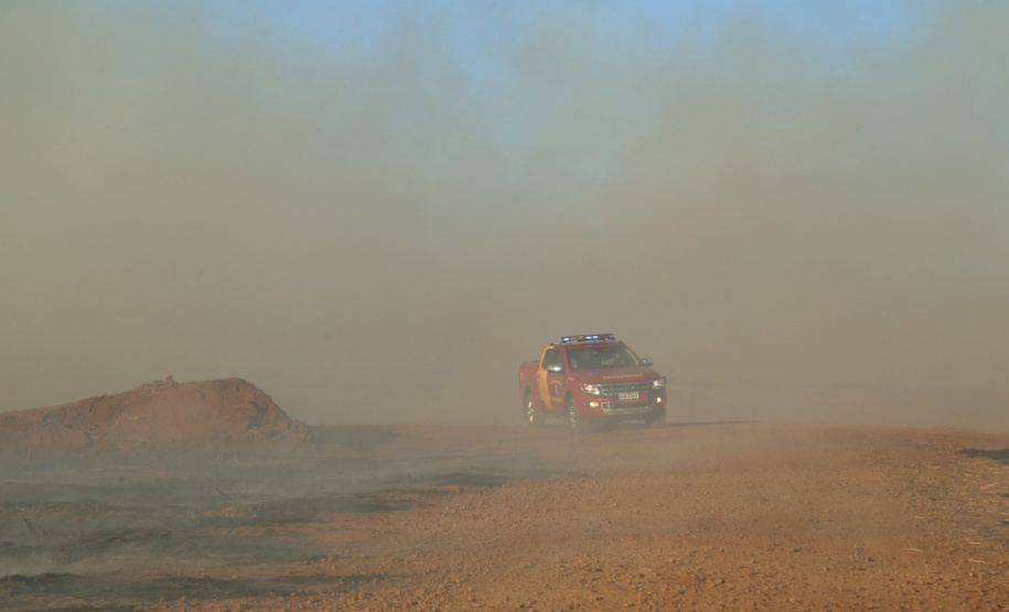 Incêndios ambientais crescem 33% no Paraná no 1.º trimestre