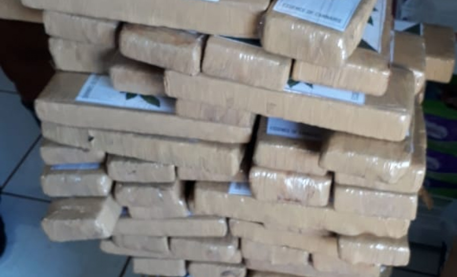 Apreensão de drogas cresce quase 40% no Paraná