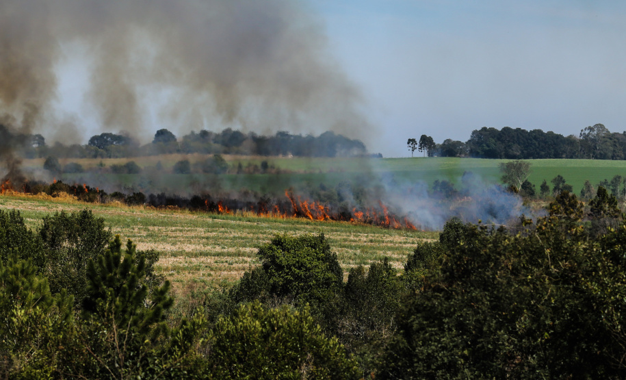 Incêndios ambientais crescem 33% no Paraná no 1.º trimestre