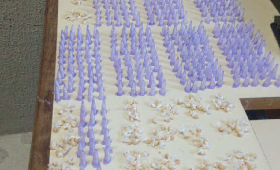 PM apreende mais de 600 porções de cocaína e crack após acompanhamento em Colombo, na RMC