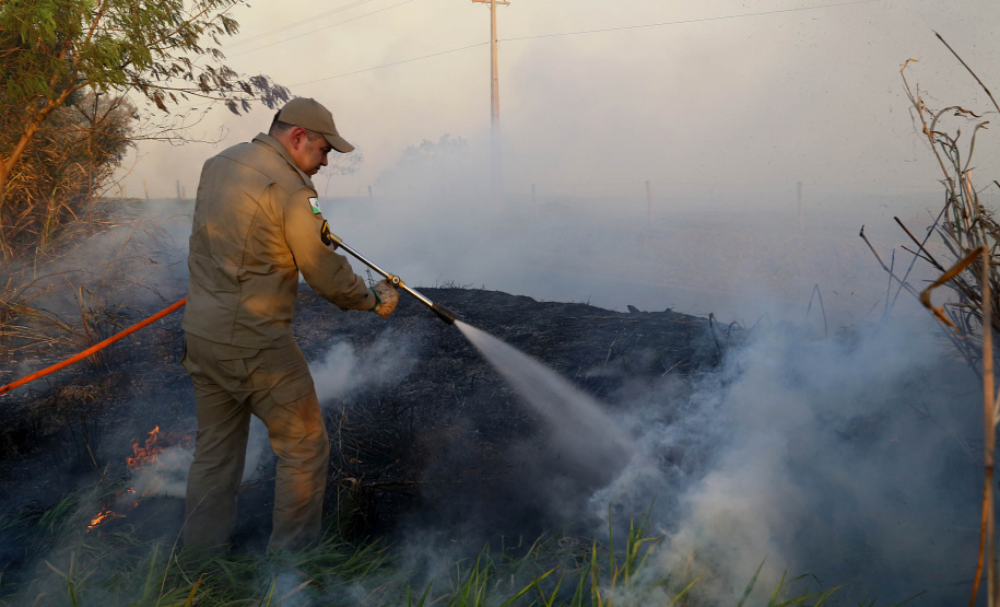 Incêndios ambientais crescem 33% no Paraná no 1.º trimestre