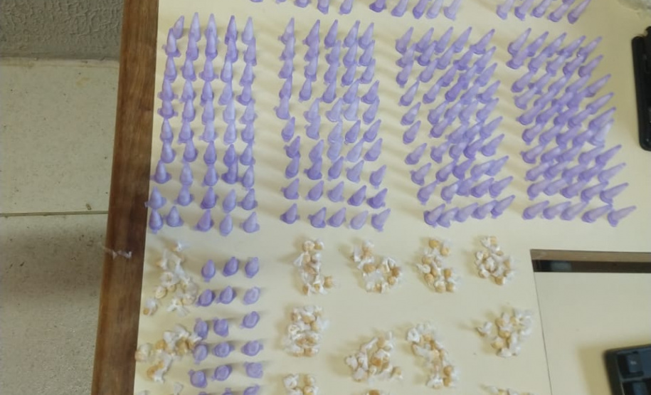 PM apreende mais de 600 porções de cocaína e crack após acompanhamento em Colombo, na RMC