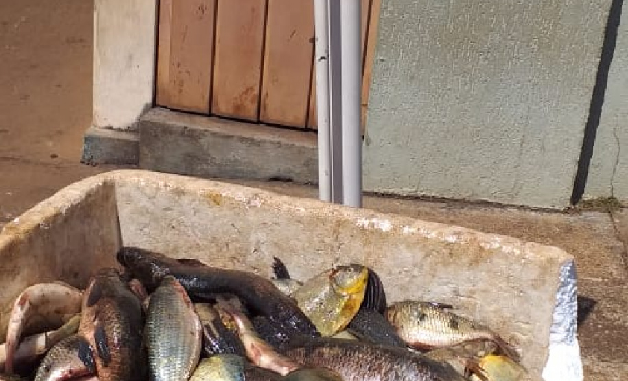 Polícia Ambiental prende quatro homens e apreende 89 quilos de peixes no Norte Pioneiro