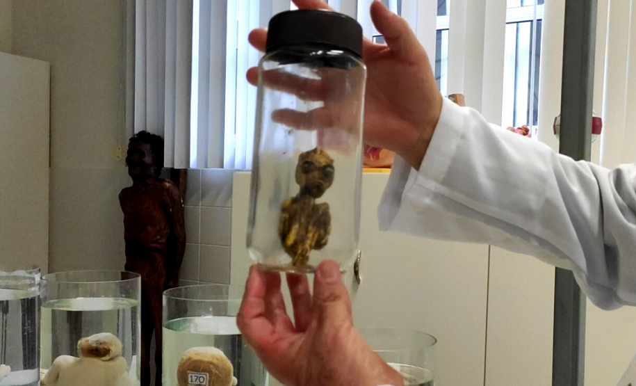 Dia Internacional do Museu: Museu de Ciências Forenses guarda histórias peculiares de crimes e acidentes que aconteceram no Paraná