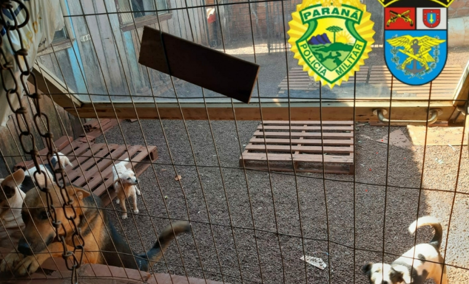 BPFron arrecada uma tonelada de ração por meio de troca por máscaras com a marca da unidade no Oeste do estado