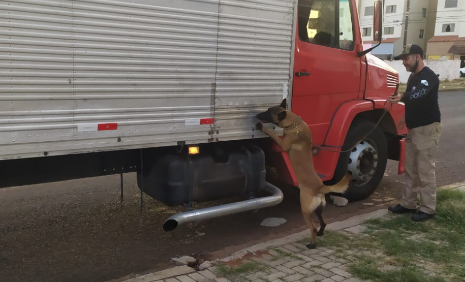 PCPR apreende 3,1 toneladas de maconha no Norte do Estado