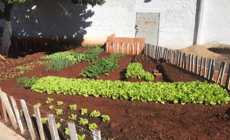 Segurança retira veículos do pátio da Delegacia de Piraquara