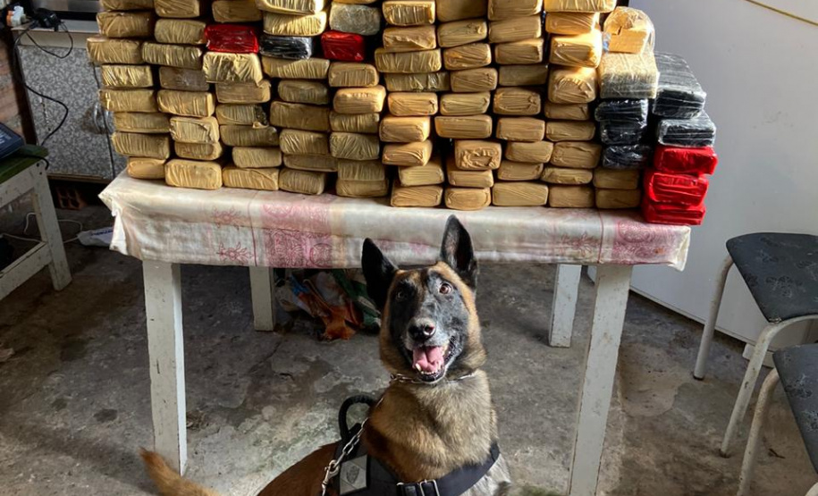 Polícia Militar cumpre 12 mandados judiciais contra o tráfico de drogas no litoral