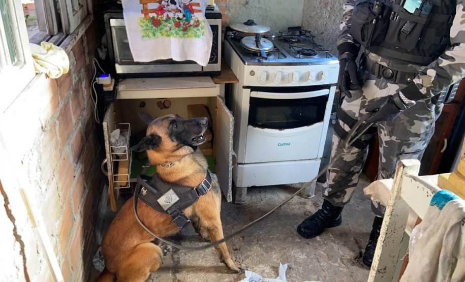 Polícia Militar cumpre 12 mandados judiciais contra o tráfico de drogas no litoral