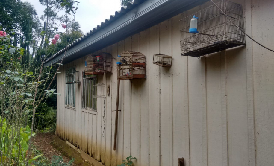 Polícia Ambiental prende seis pessoas e apreende duas toneladas de carvão e três balões, em ações distintas na RMC